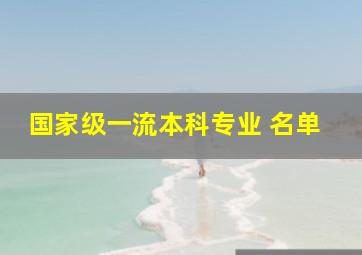 国家级一流本科专业 名单